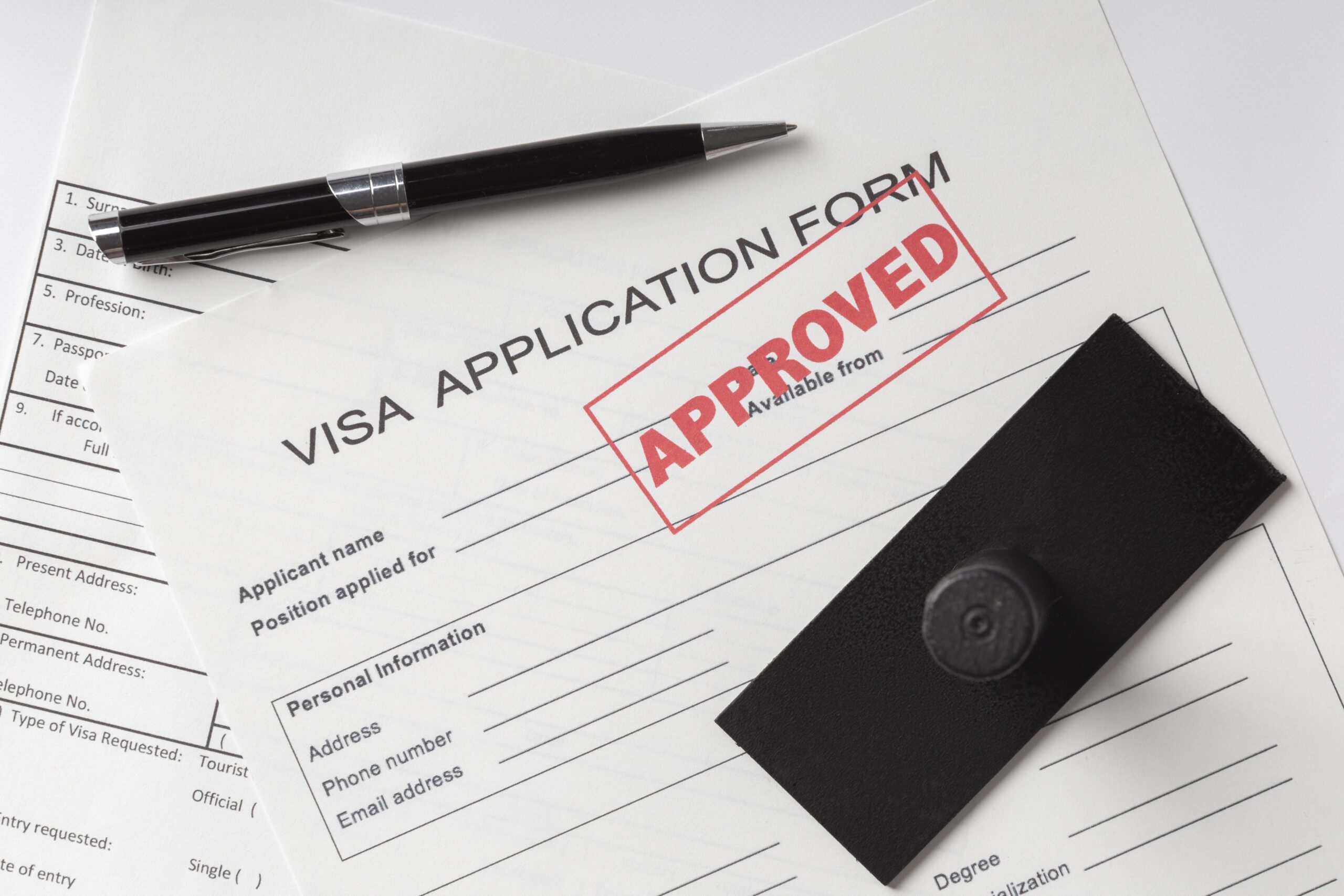 flat-lay-visa-application-assortment